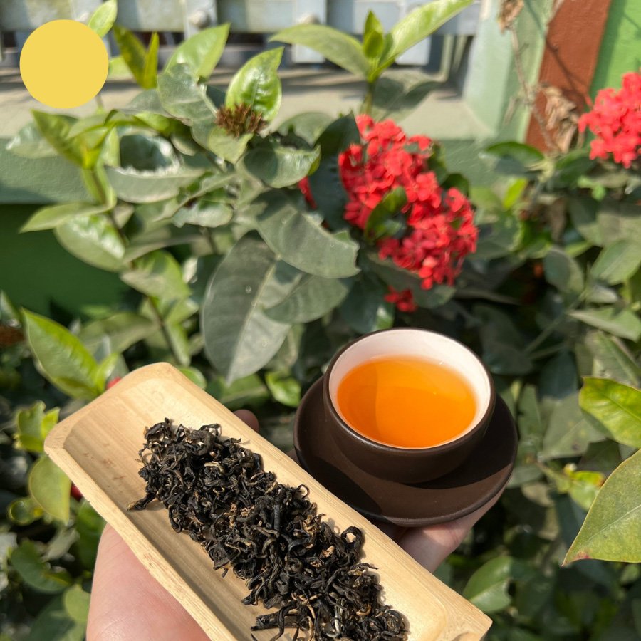 LÃO MỘC TRÀ LINH – TRÀ ĐEN